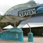 Florida Aquarium Tampa