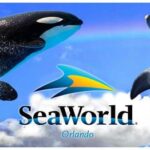 Sea World