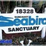 Sun Coast Bird Sanctuary